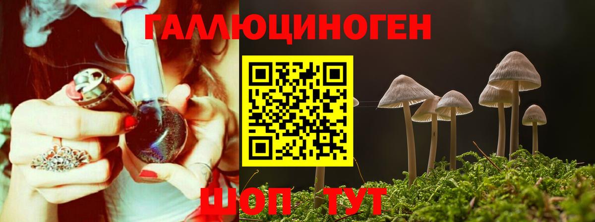 Конаково  Галлюциногенные грибы прущие грибы  Вход с VPN 